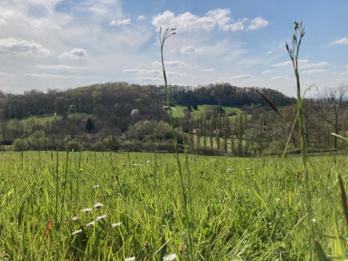 Domaine Labouroume Hotel Salies-de-Béarn Eksteriør billede