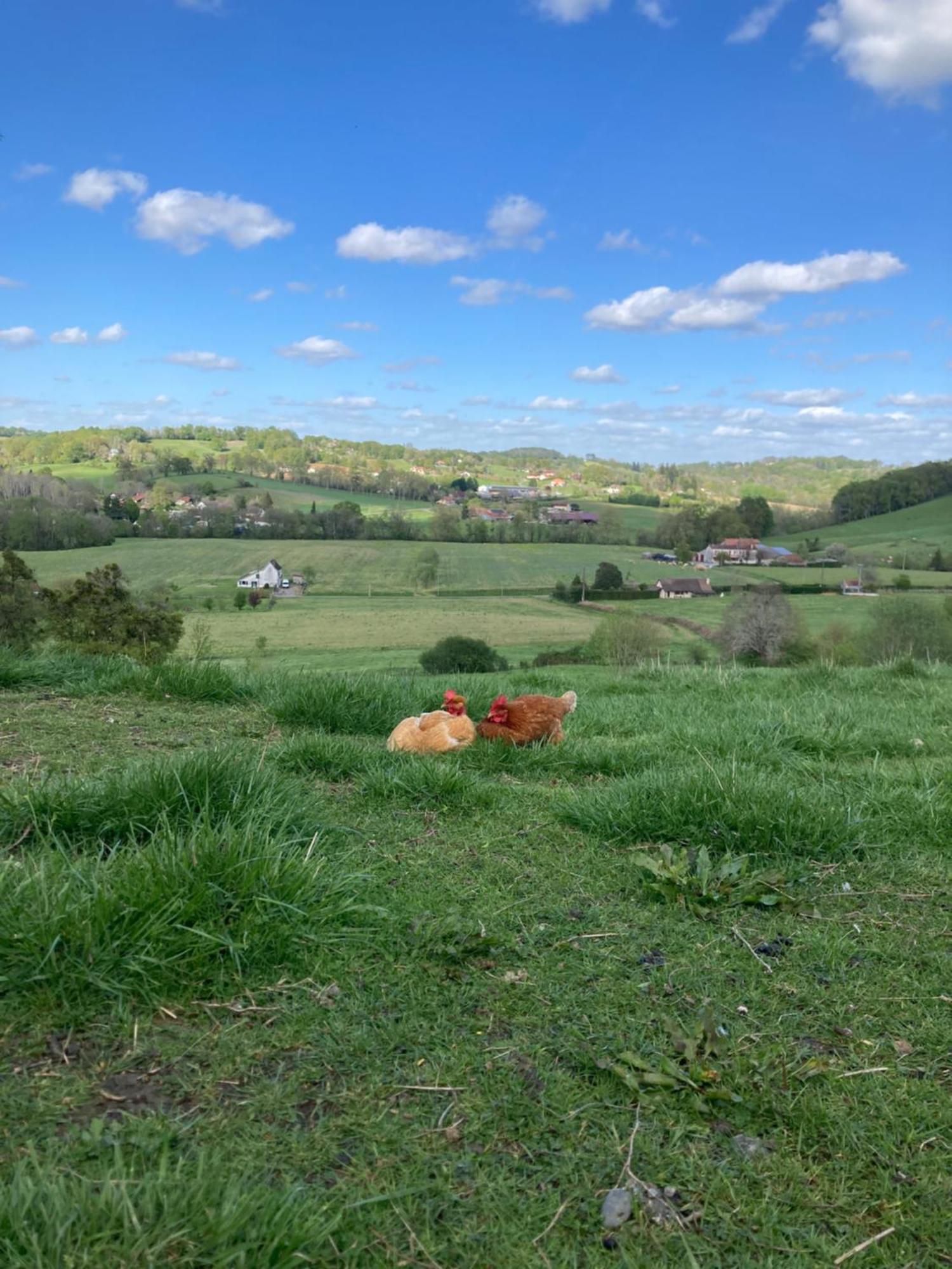 Domaine Labouroume Hotel Salies-de-Béarn Eksteriør billede