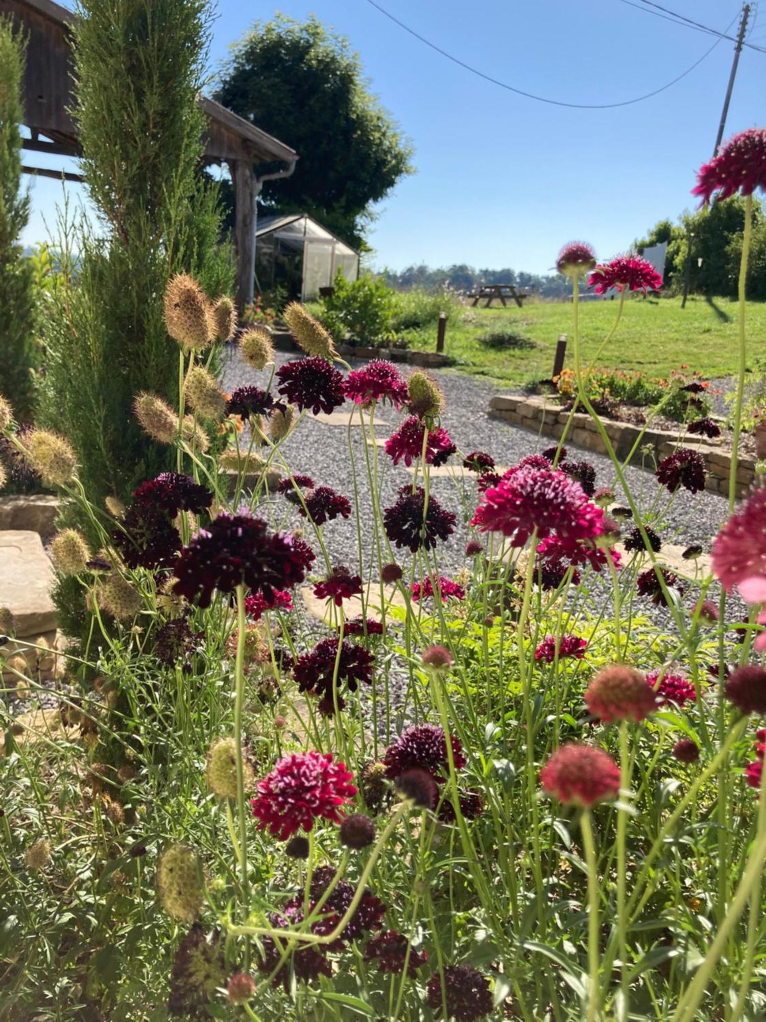 Domaine Labouroume Hotel Salies-de-Béarn Eksteriør billede