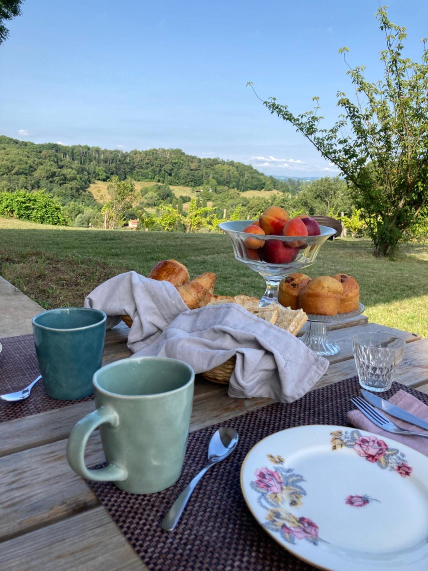 Domaine Labouroume Hotel Salies-de-Béarn Eksteriør billede
